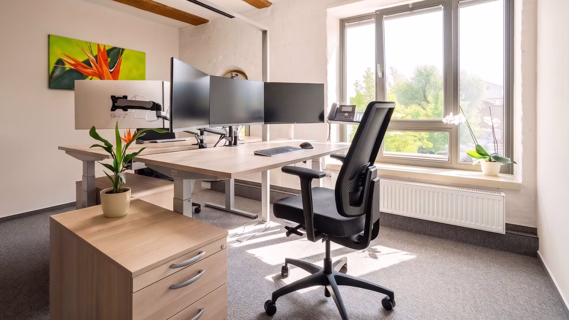Büroorganisation von mwh Hirsch